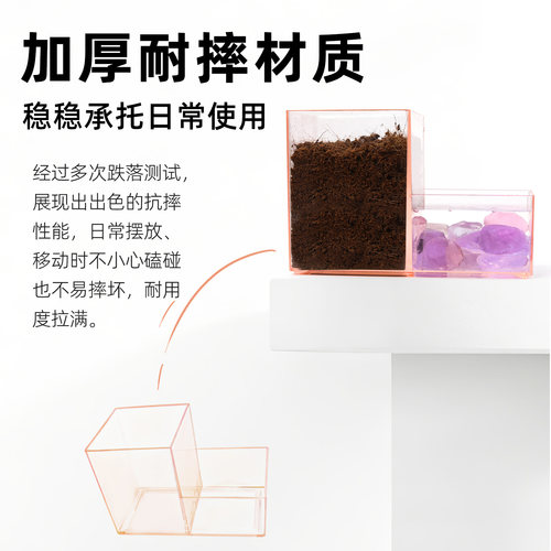 寄居蟹蜕皮桶套装～隔离盒套缸活体宠物躲避大号小号迷你多规格 - 图2