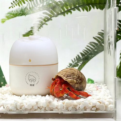 寄居蟹加湿器～饲养箱盒可用爬宠加湿器雾化可壁挂保迷你小号 - 图0