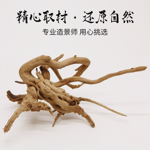 寄居蟹沉木攀爬～杜鹃根过江龙造景躲避虾木装饰摆件爬宠大号小号 - 图1