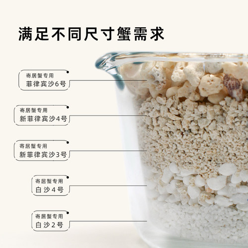 陌派寄居蟹专用沙～天然垫材白沙珊瑚沙菲律宾沙子原生贝壳沙免洗 - 图1