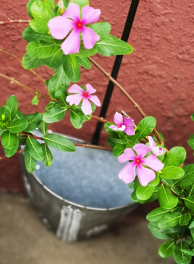 美式乡村风铁皮铲子庭院花器壁饰
