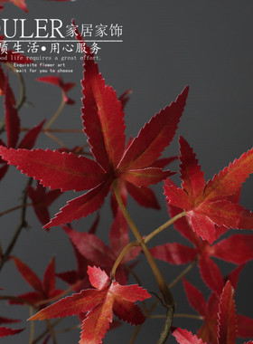 仿真红叶枫树叶假树叶喜庆红火