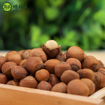 Peak Forest Ledong North Special Production Iron Ridge Open Original New Cargo Hand Pat Wild Water Drain Hazelnut Dried Fruits 500g