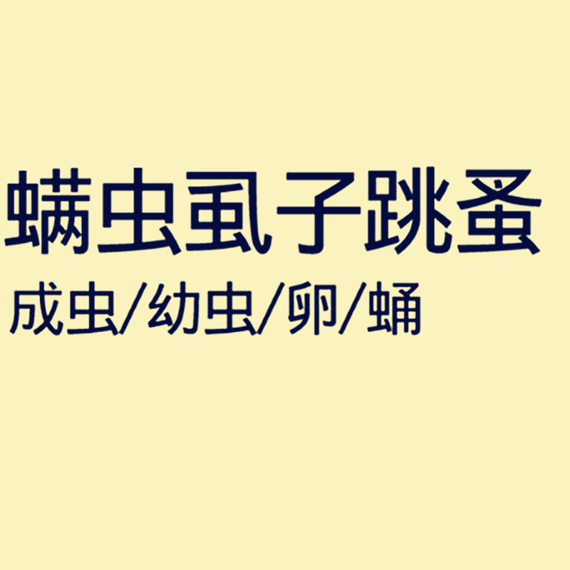 蜱虱消药浴非洲迷你刺猬专用体表杀虫喷剂螨虫体外寄生虫实用-图1