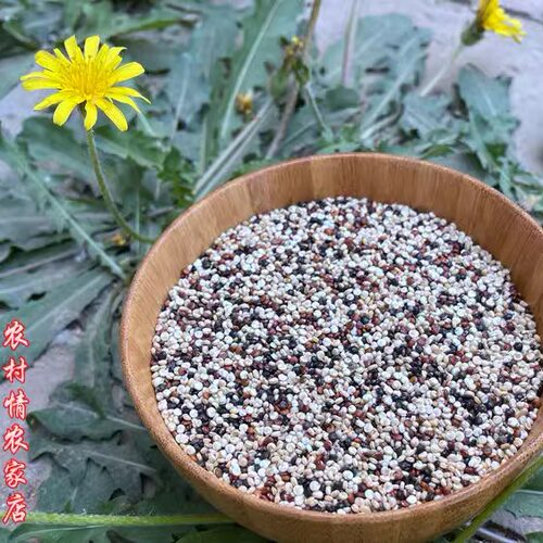 2025新三色藜麦白红黑藜麦米五谷粗杂粮糙米饭粥500g - 图2