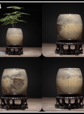 内有多款小创意天然奇石花盆