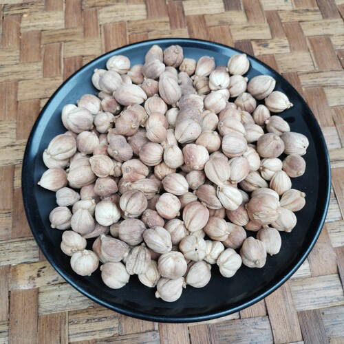 白寇  白扣子 白豆蔻 白蔻仁 香料调料大全  烧菜卤肉火锅卤料50g - 图3