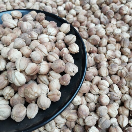 白寇  白扣子 白豆蔻 白蔻仁 香料调料大全  烧菜卤肉火锅卤料50g - 图2
