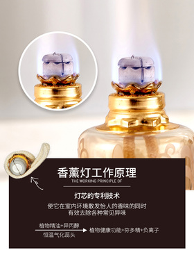 没有更便宜的了雅歌丹无火发财树