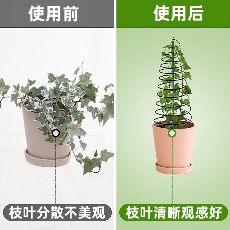 植物支撑螺旋架植物可伸缩蔓藤植物爬藤架绿萝支撑杆室外攀爬固定 - 图1