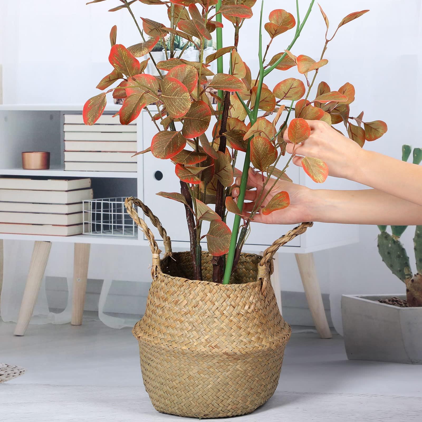 文竹支撑架植物固定防倒伏龟背竹支撑杆绿萝爬藤花架支架园艺造型,淘宝优惠券,粉丝福利购,淘宝优惠卷