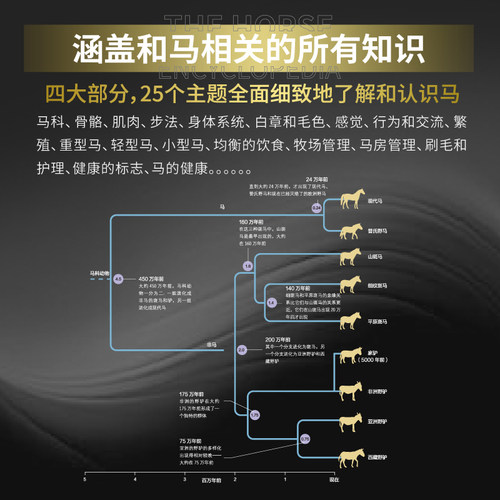 DK马百科全书全新升级版 英国埃尔温哈特利爱德华兹 骑手马术 北京科学技术 - 图1
