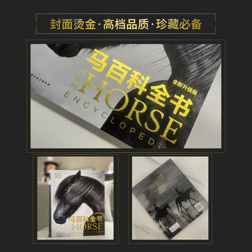 DK马百科全书全新升级版 英国埃尔温哈特利爱德华兹 骑手马术 北京科学技术 - 图2