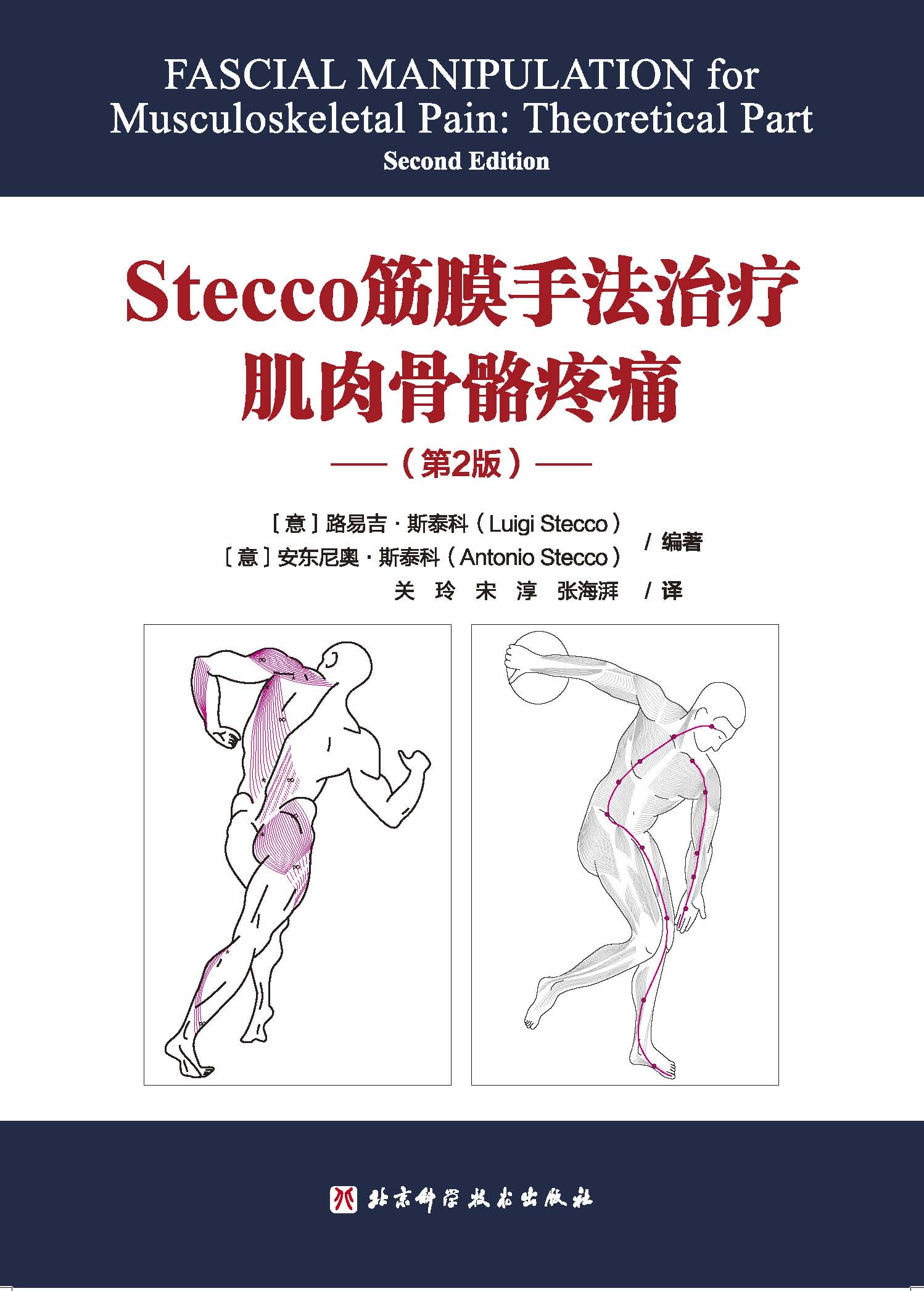 Stecco筋膜手法治疗肌肉骨骼疼痛 第2版 筋膜领域意大利学派领军人物Luigi Stecco  解剖列车译者关玲教授倾心翻译 - 图0