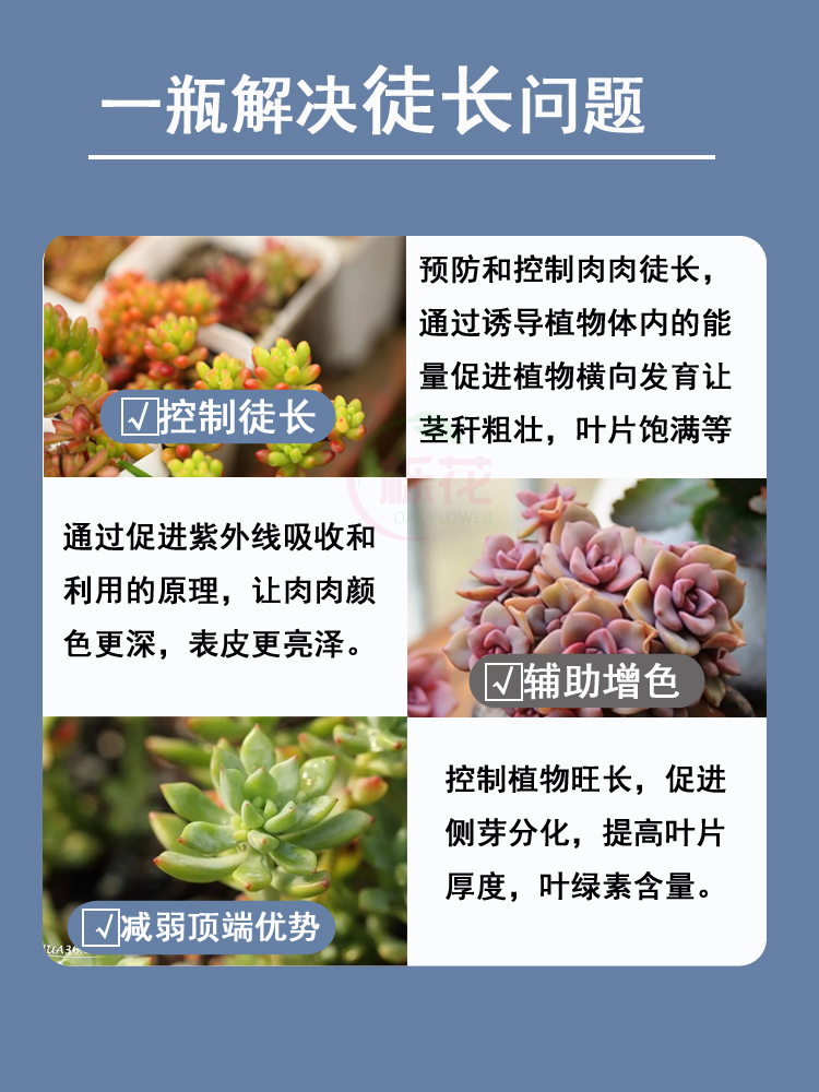 多肉矮胖素专用爆芽素增色增肥促生长植物花卉免稀释营养液优芽素-图0