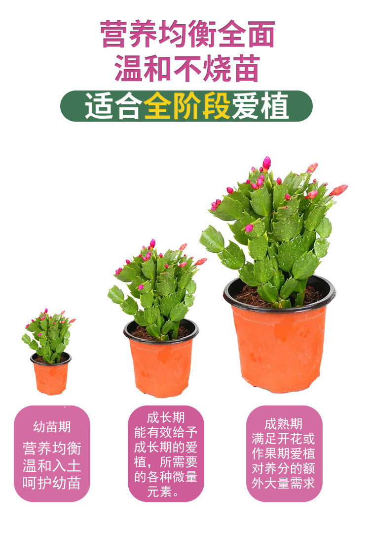 蟹爪兰肥料专用肥蟹爪兰专用营养液蟹爪莲催花肥料养花种花专用土,淘宝优惠券,粉丝福利购,淘宝优惠卷