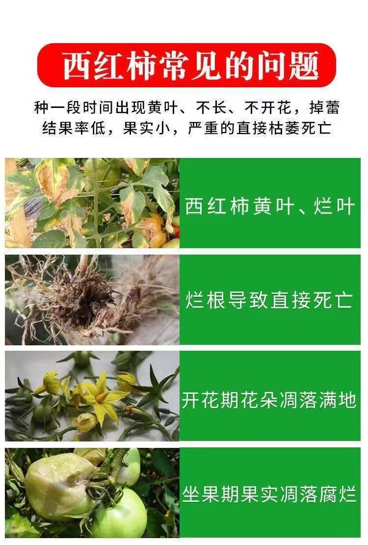 西红柿专用肥料番茄肥料绿色健康有机肥增色增甜种菜颗粒复合肥料,淘宝优惠券,粉丝福利购,淘宝优惠卷