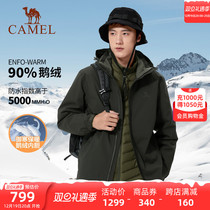 Extremely Cold Ski Series Camel Goose Down Ski Suit Male Three-in-one Detachable Jacket Waterproof Gold Tender Down Clothing