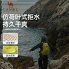 Camel outdoor hiking bag