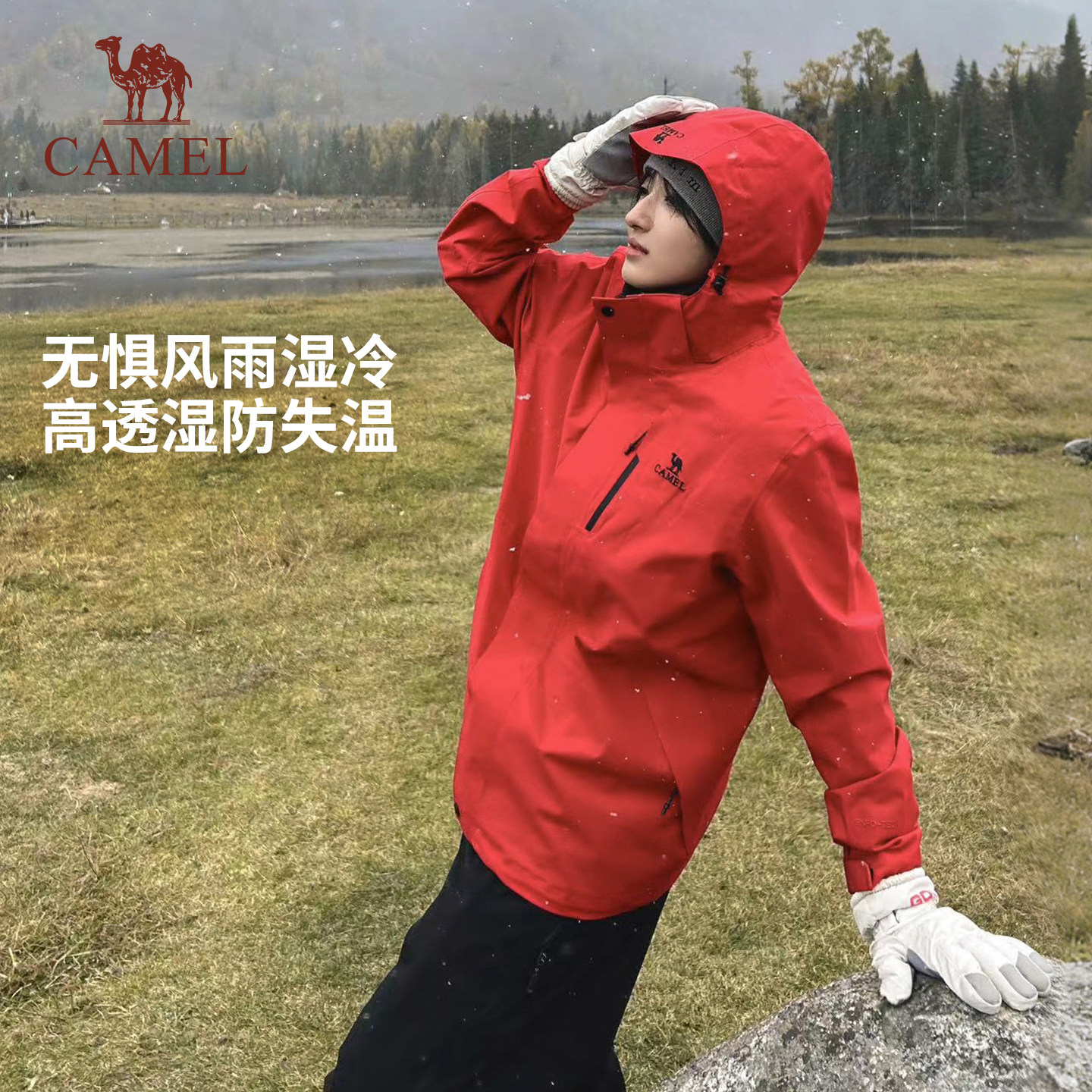 图 3