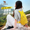 Camel backpack