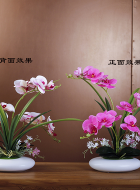手感蝴蝶兰仿真花柜假花装饰摆件