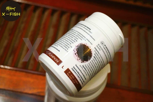 Кормка тыквы мостера/Германия мурота