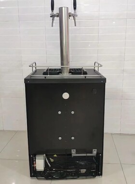 商用扎啤机精酿售酒柜2桶2头鲜啤桶打酒器直冷风冷啤酒保鲜