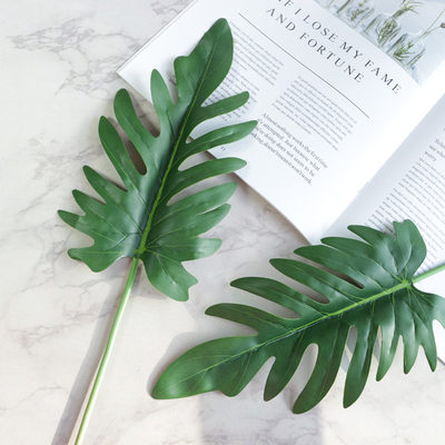 仿真树叶拍照背景道具北欧个性拍摄摆设欧式主播房间背景手拿绿叶 虎窝淘