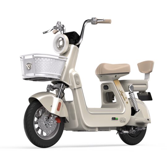 Новый национальный стандарт Luyuan X30 с электровелосипедом дальнего действия