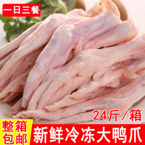 Fresh Frozen Duck Palm 24 catty Whole Box Commercial Raw Duck Claw Large Duck Palm Duck Feet Halter Raw Ingredients Raw Duck Meat