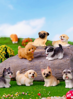 狗狗树脂小摆件可爱萌犬微景观创意车载桌面摆件盲盒园艺迷你