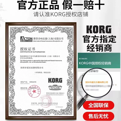 Korg Keyin Electric Piano D1 Экзамен для начинающих.