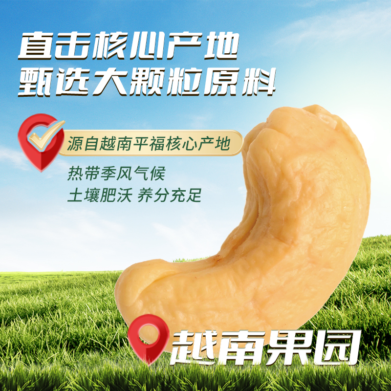 森宝腰果原味470g坚果零食白腰果仁烘焙原香干货罐装新货越南产