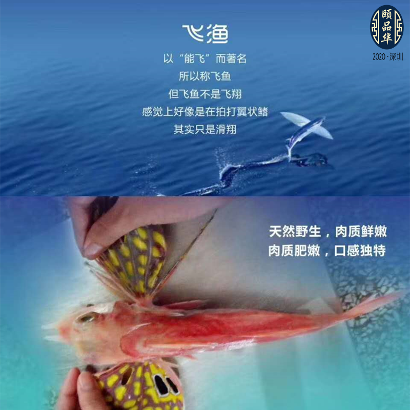 广西北海特产飞鱼肉100g即食海鲜休闲零食品海味鱼排干真空礼盒装 - 图0