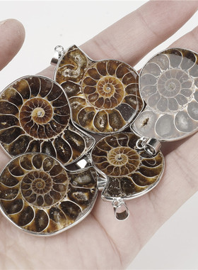 天然菊石化石吊坠女斑彩螺毛衣链