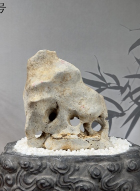 天然太湖石奇石盆景附石精品鱼缸造景石头观赏原石摆件