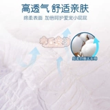 Ультра -тонкие мальчики, используемые для больших собак специальных подгузников, домашних собак, щенков без влажной подушки физиологические штаны, пожилые люди