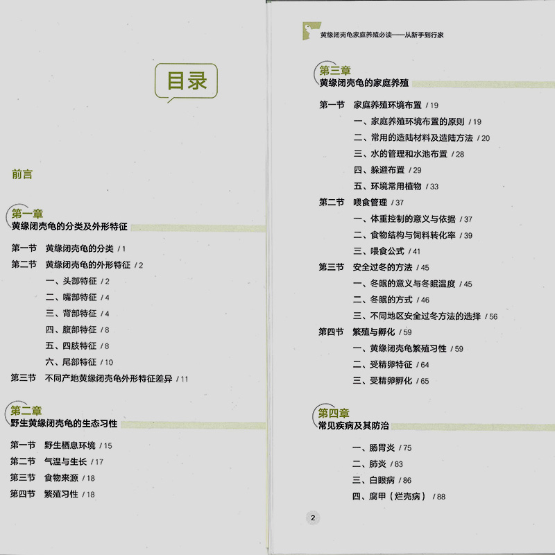 黄缘闭壳龟家庭养殖必读-从新手到行家黄缘龟安缘龟爱好者基础书-图2