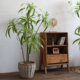 Simulated Brazilian wood floor-standing large green plant movable decoration