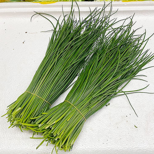 新鲜食用法葱100g 北葱细葱小葱虾夷葱 Chives 西餐装饰香料配菜_虎窝淘
