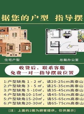 泰山石泰山石敢当天然原石