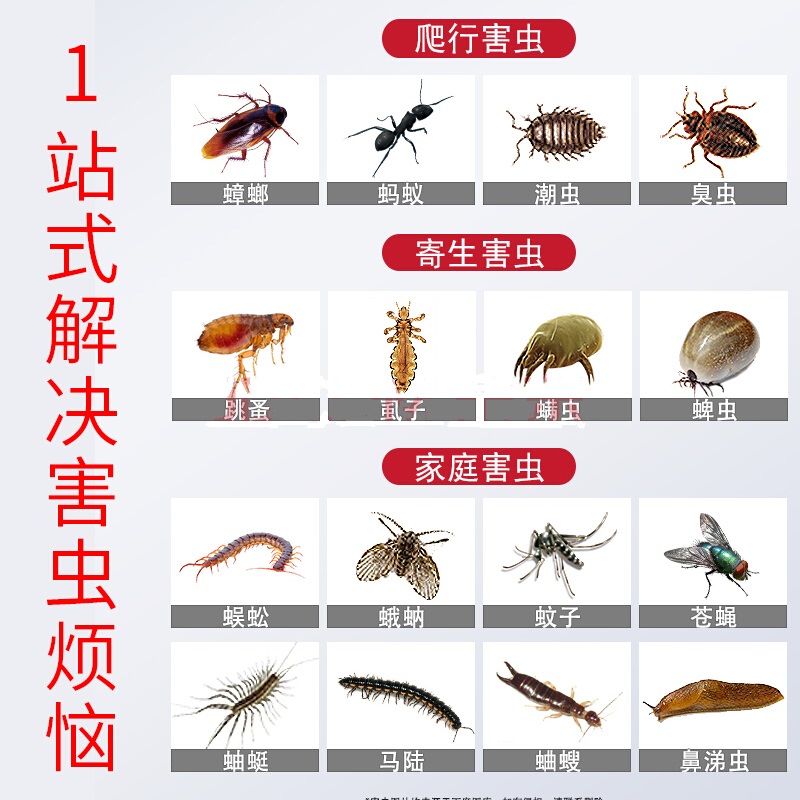 清扬杀虫剂喷雾剂家用室内无味灭蟑螂蚊子苍蝇跳蚤蚂蚁除虫一锅端 - 图1