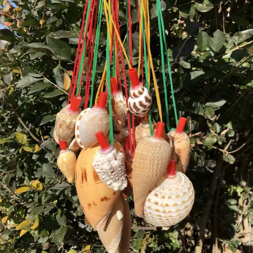 Натуральный мегафон, большой свисток, игрушка