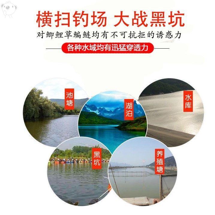 纯正南极磷虾粉浓腥虾粉饵料钓鱼专用窝料野钓春夏季鲫鱼垂钓饵料,淘宝优惠券,粉丝福利购,淘宝优惠卷