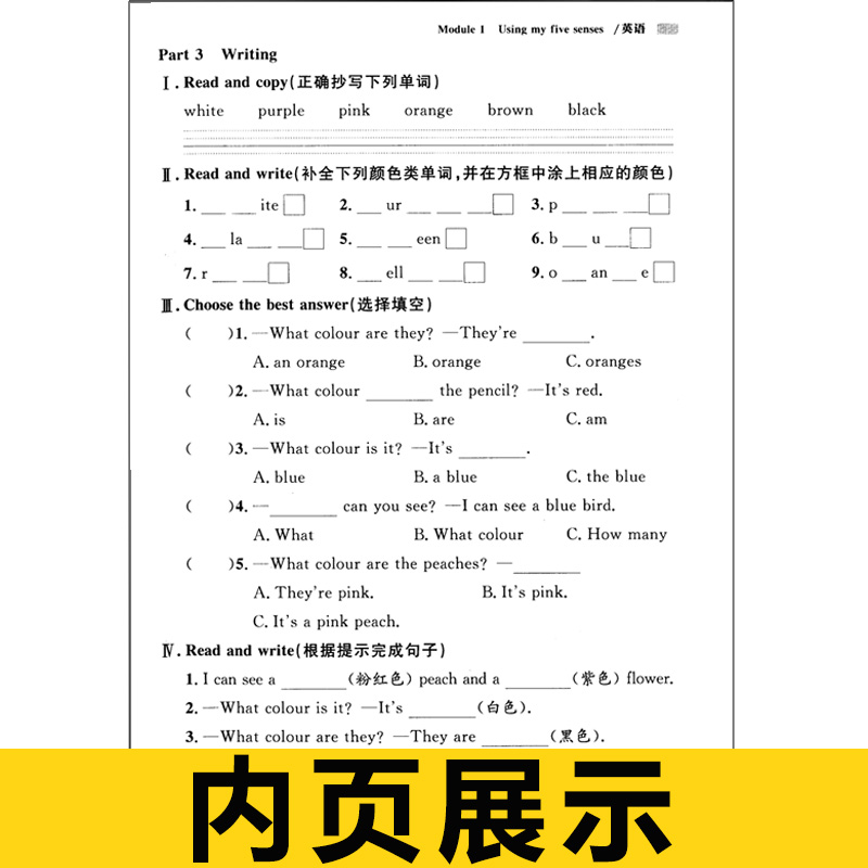 2024年部编版钟书金牌上海作业二年级上下册语文数学英语N版2年级第一第二学期上海小学教辅课后同步配套练习上海大学出版社 - 图2