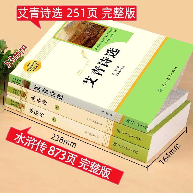 九年级课外阅读书籍必读儒林外史简爱艾青诗选和水浒传正版原著完整版唐诗三百首人民教育出版社初三上册下册课外书九上人教版名著 - 图0