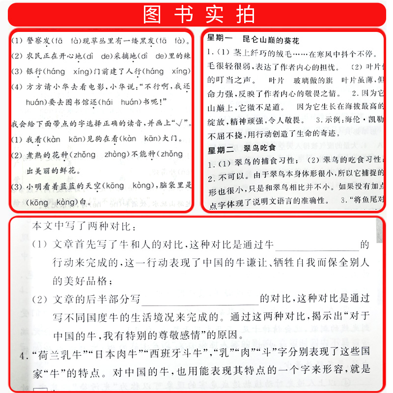 2024新版周计划小学语文阅读强化训练100篇文言文练习与训练一1二2三3四4五5六年级小学生人教版同步专项阅读理解写作练习册-图2