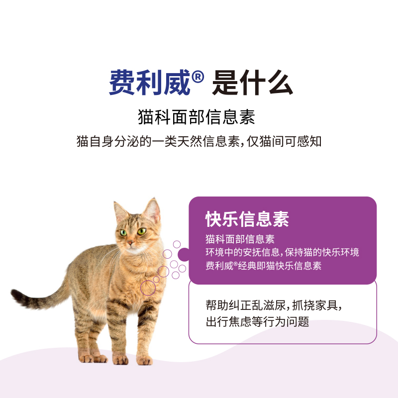 费利威FELIWAY经典喷雾费洛蒙预防猫乱尿安抚猫咪情绪20ml - 图1