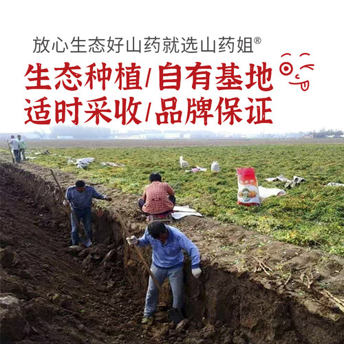 山药姐焦作温县垆土铁棍正宗怀山药河南特产粉糯面山药5斤简装 - 图0